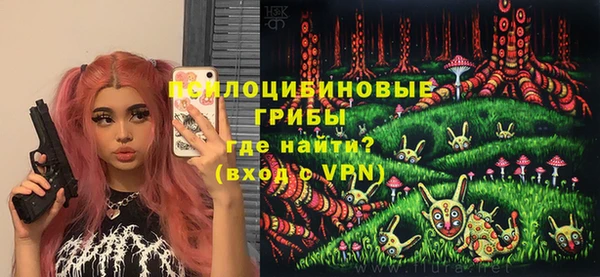 дурь Алексин