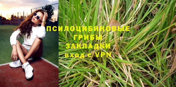 дурь Алексин