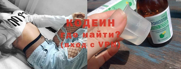 дурь Алексин